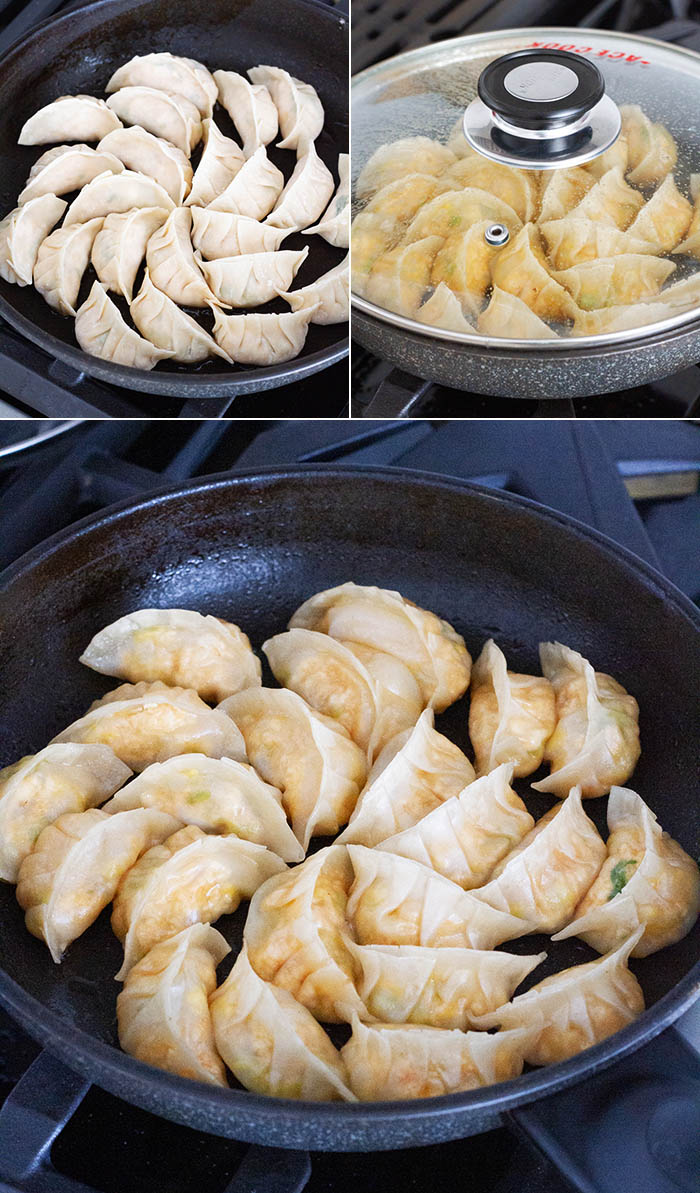 Cooking vegan gyoza