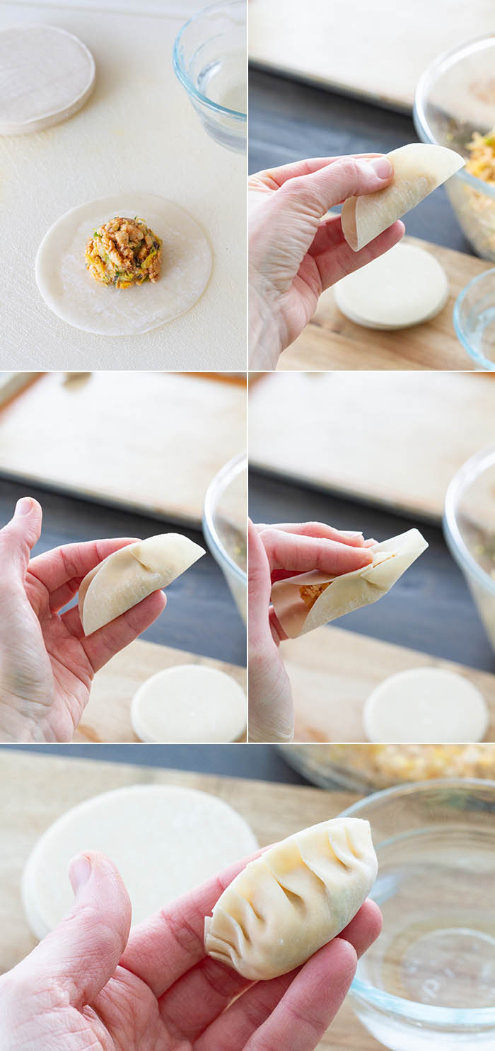Making vegan gyoza