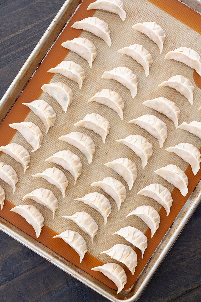 Vegan gyoza read to be cooked