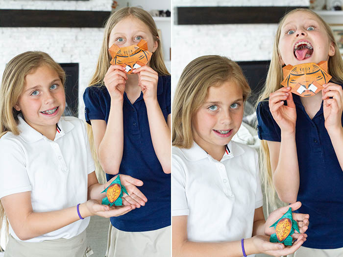 Fujilings and their origami endangered animals