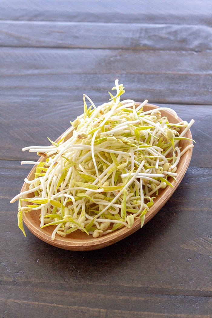 A dish of homegrown mung bean sprouts