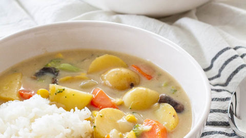Stay-at-home Japanese Vegan Cream Stew (クリームシチュー