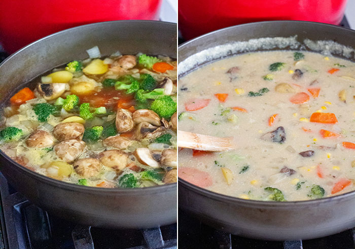 Stay at home Japanese Vegan Cream Stew La