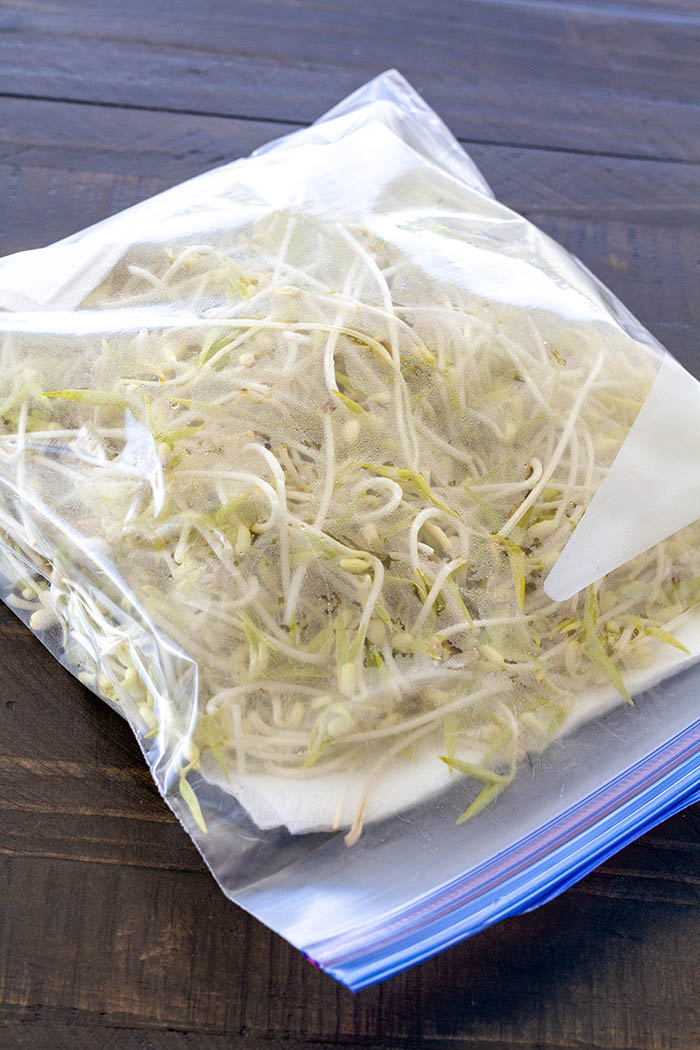 Store mung bean sprouts in a large clean ziploc bag with a folded piece of dry paper towel or kitchen towel in the refrigerator