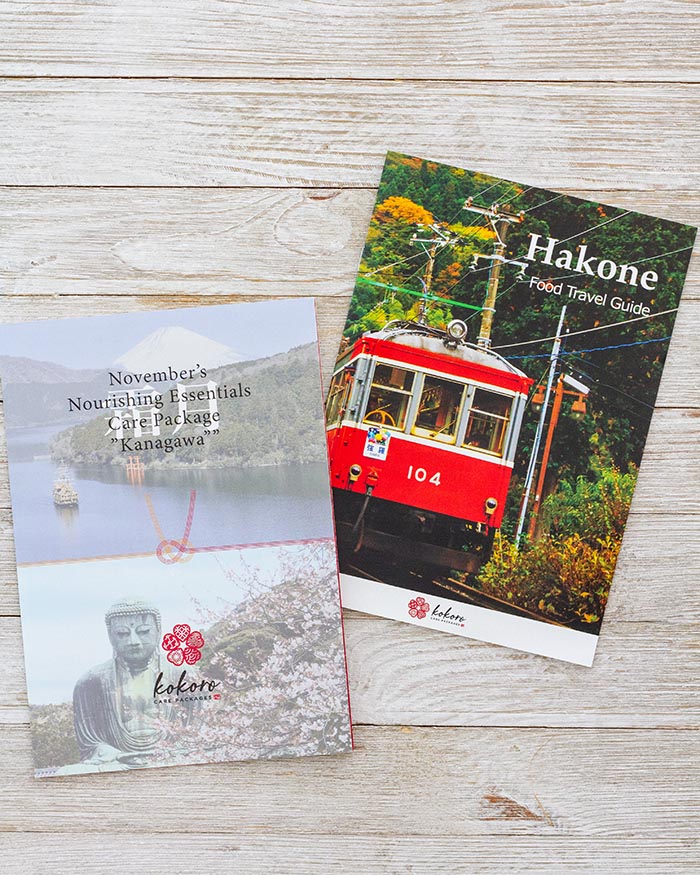 Travel to Japan: One Day Itinerary for Aoshima, Miyazaki - Kokoro Care Packages